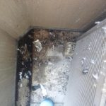 【作業事例】名古屋市でハト糞ベランダ清掃~ハト糞は有害です~