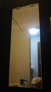 ウロコがキレイに除去されました。