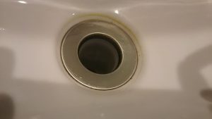 洗面ボールさぼったリング