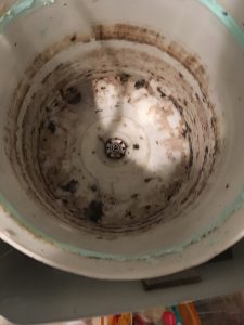 洗濯ドラムの汚れ　分解クリーニング業者　洗浄