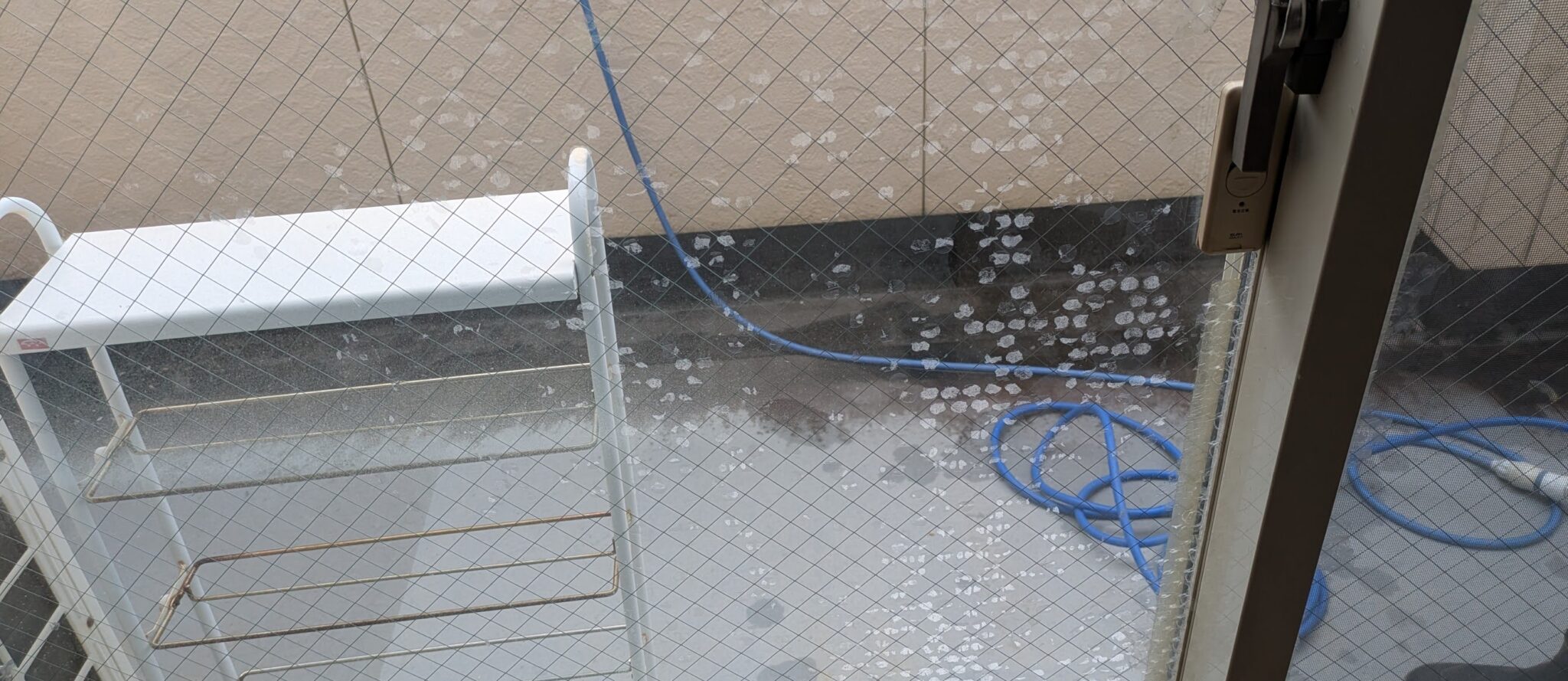 ガラスのシール跡